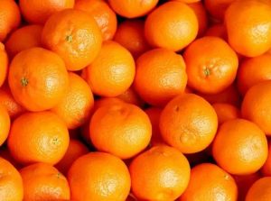 Clementine Orange for Juicing