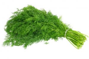 Sub for Parsley