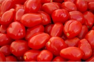 Plum Tomatoes for Juicing