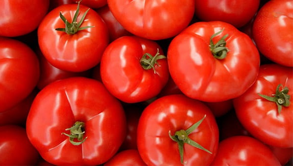 Tomatoes Substitutes