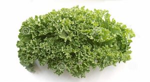 Common Kale Used for Juicing