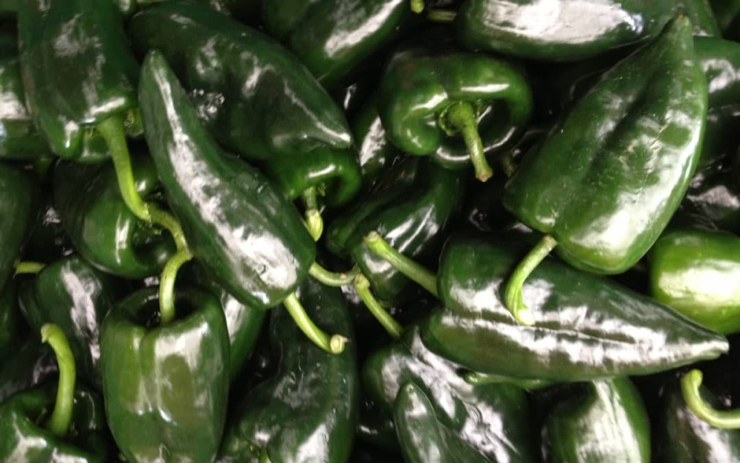 Poblano Peppers Substitutes