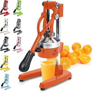 Zulay Professional Juicer: Best Overall